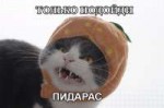 14620309791590.jpg
