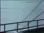  .webm