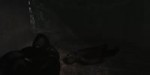 15317686136281.webm