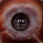 i see you.jpg