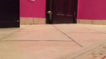 хахахаха.webm