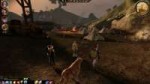Dragon Age  Origins Screenshot 2018.07.31 - 03.00.01.59.png