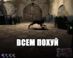 cc2535aa4a58ded9d19124vu3r.jpg