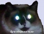 ,15203751685742.jpg