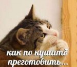 3893900[1].jpg