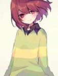 Undertale-фэндомы-Chara-Undertale-персонажи-4436146.jpeg