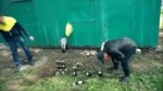 15331632336221.webm