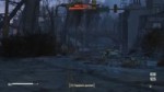 roza.mp4