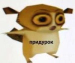 image.jpeg