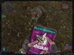 1369732005909455841[1].jpg
