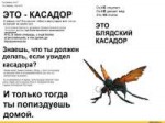изображение.png
