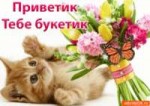 15-04-37-krasivaya-otkrytka-privet-45482-9934544.gif
