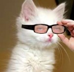 15352371639040[1].jpg