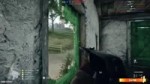 Battlefield1-Random.webm