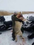 Волчара (1).JPG