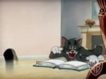 Laugh Tom.mp4