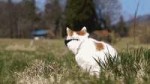 tumblrmm703thBeD1rw1wnno1400(1).gif