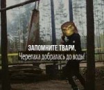 15352699659730.png