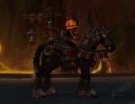 698531-seabraid-stallion.jpg