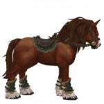 horsemultisaddlechestnut-102-205-proudmoore.jpg