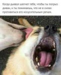 1535354517770.jpg