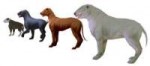 DesignDocumentv14-BlindDogs.jpg