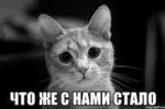 chto-zhe-s-nami-stalo33571974orig.jpeg