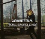 15353892392290.png
