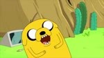 Laugh Jake.mp4