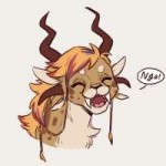 tumblrp5hfc1ZZxc1si03jqo11280.jpg