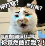 4022000353o410ornq88.jpg