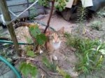 IMG20180705170526.jpg