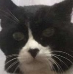 OW2yjv5Htvs.jpg