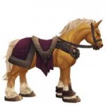 horsemultisaddlepalamino-101-203.jpg