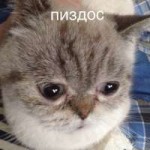 15295659995000.jpg