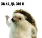 bb2af4e402ad7a77ecb2ad7e68e39340.jpg
