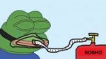 pepe.jpg