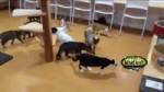 NmxeCHv.mp4