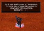15326349523440.jpg