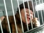 15230943008720.webm