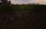 XR3DA.exe2018-09-05-16-50-21-954.jpg