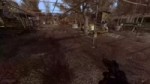 345.webm