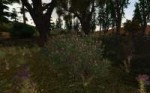 XR3DA.exe2018-09-08-19-03-12-951.jpg