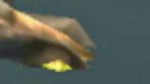 img5.png