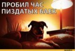 настало-время-охуительных-историй-гифки-песочница-котэ-7907[...].png