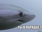 15289075015750.jpg