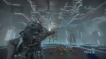 tigr.webm