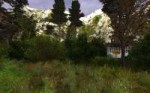 XR3DA.exe2018-09-11-11-24-21-482.jpg