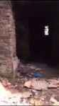 15352730349940.mp4