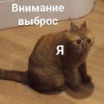 images[1]